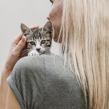 Venta de palets reciclados en España